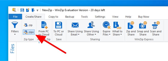 winzip choose file format