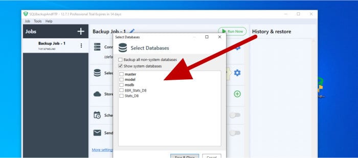 sqlbackupandftp select databases to include
