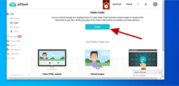 pcloud review - configure public folder