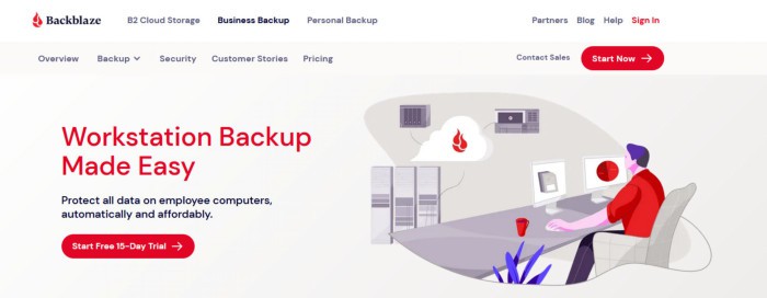 best cloud backup for small business - backblaze business web