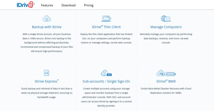 best cloud backup for small business - idrive web business features