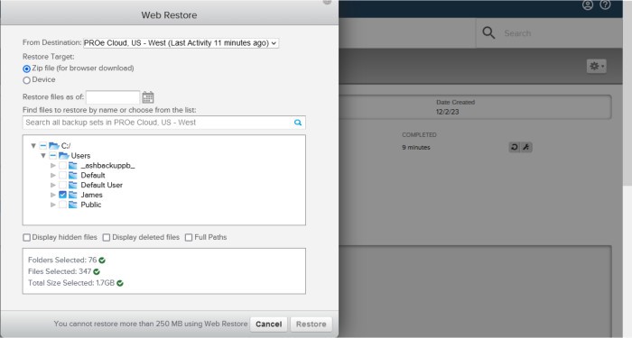 crashplan review 2023 - web-based recovery configuration page